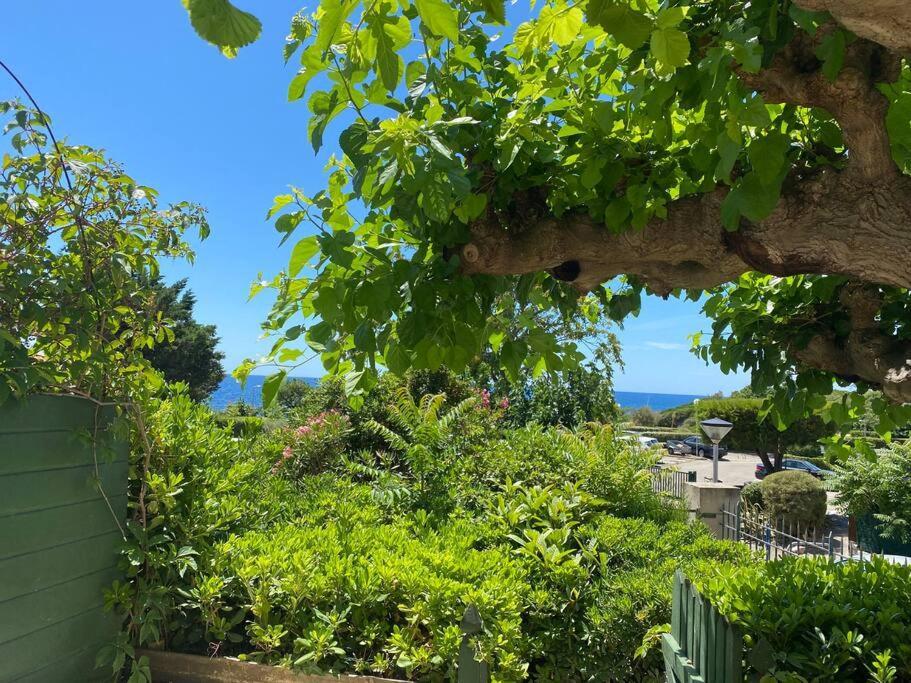 Joli Studio De Vacances Vue Mer โซเซ-เล-แป็ง ภายนอก รูปภาพ